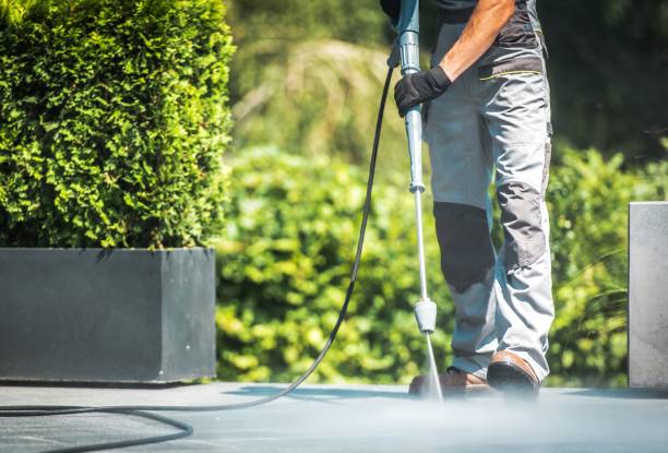 Best Dumpster Area Cleaning  in Manistee, MI
